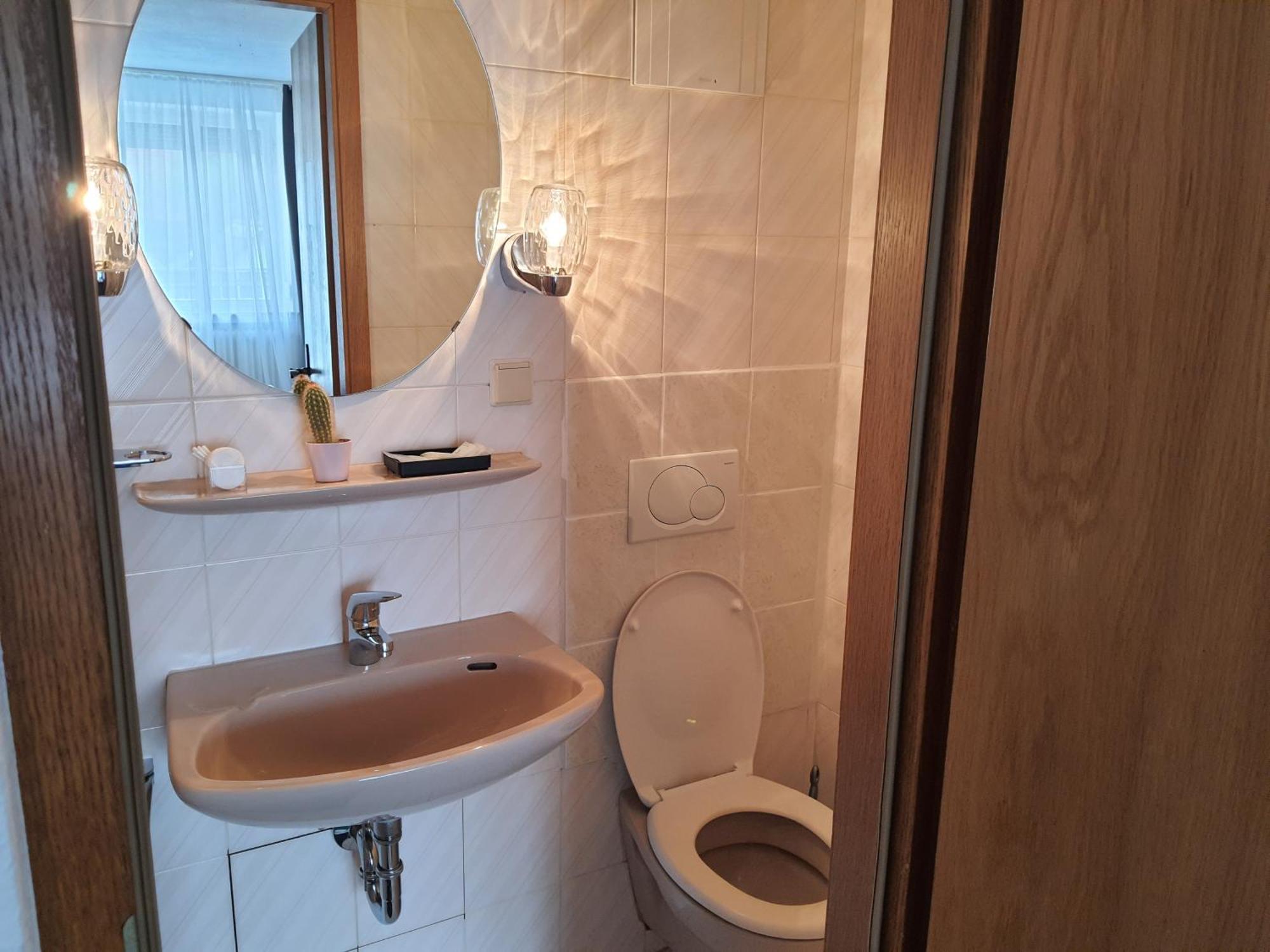 Отель Pension Brenz Sontheim an der Brenz Номер фото